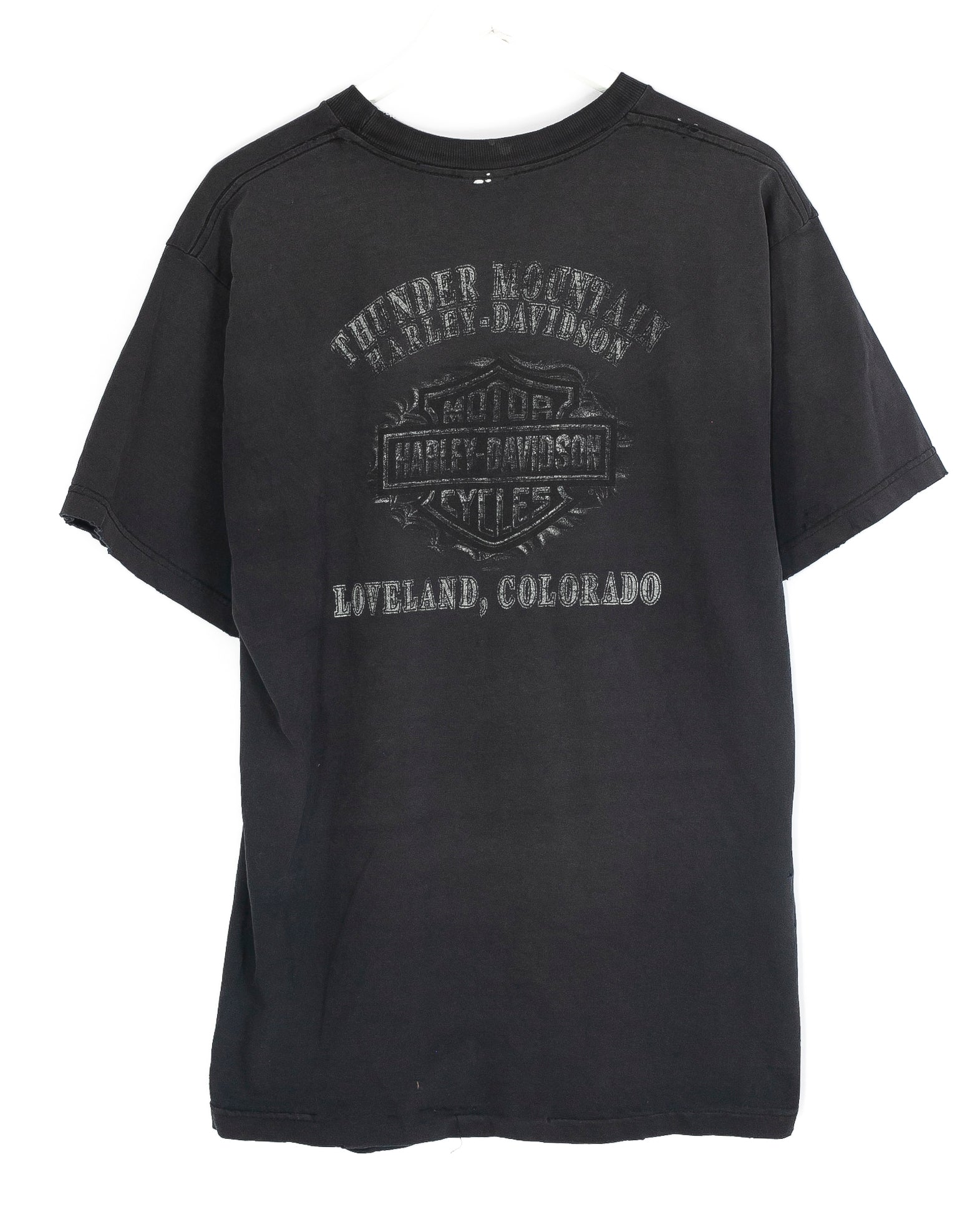 Vintage Harley Davidson T-shirt  (XL)